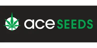 Ace Seeds