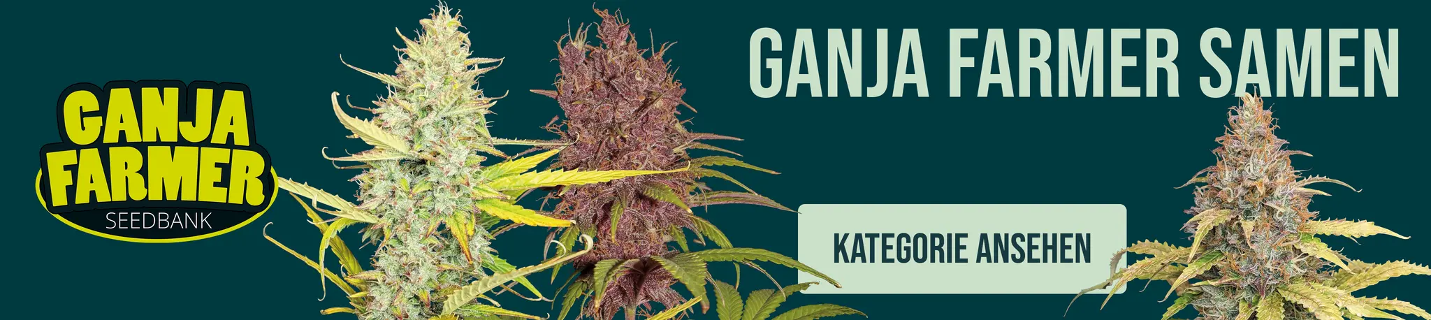 Ganjafarmer Seeds