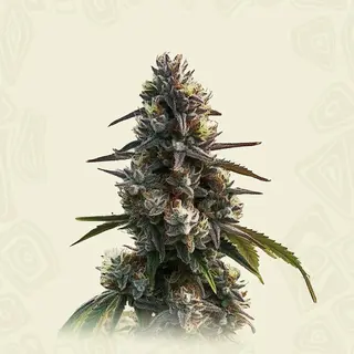L.A. Confidential