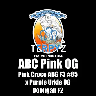 ABC Pink OG