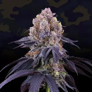 Lemon Coconut Fat Bomb