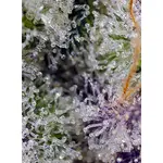 Pineapple Slush XL Auto - 3 Stück