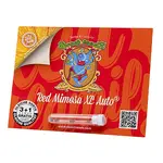 Red Mimosa XL Auto - 3 Stück