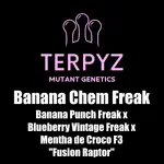 Banana Chem Freak Fern-Type - 5 Stück Regular