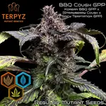 BBQ Cough GPP - 5 Stück Regular