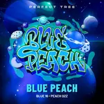 Blue Peach - 6 Stück