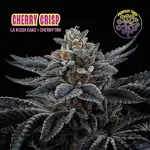 Cherry Crisp - 6 Stück