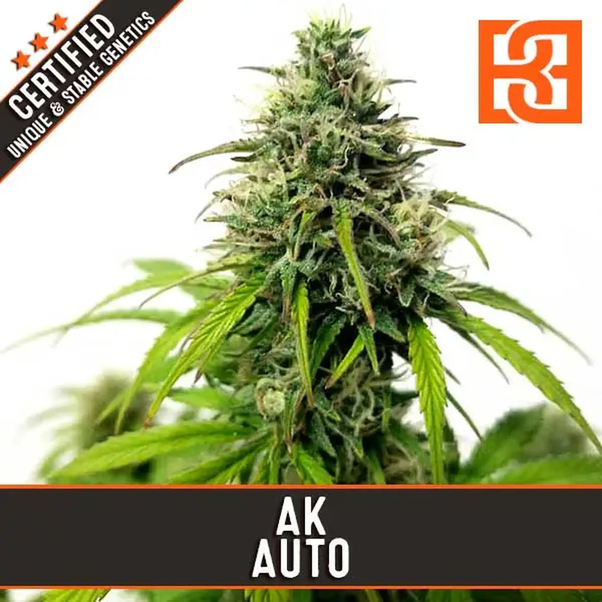 AK Auto-3 Stück