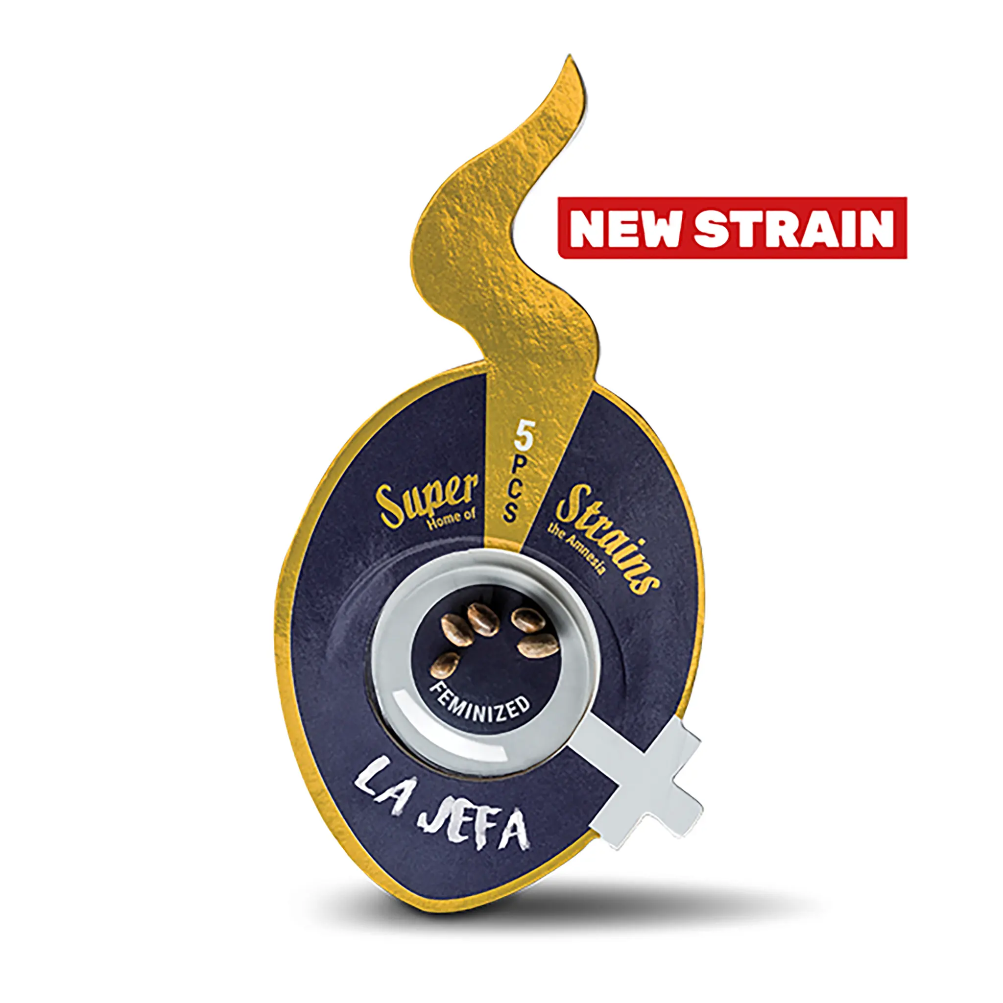 La Jefa-3 Stück-
