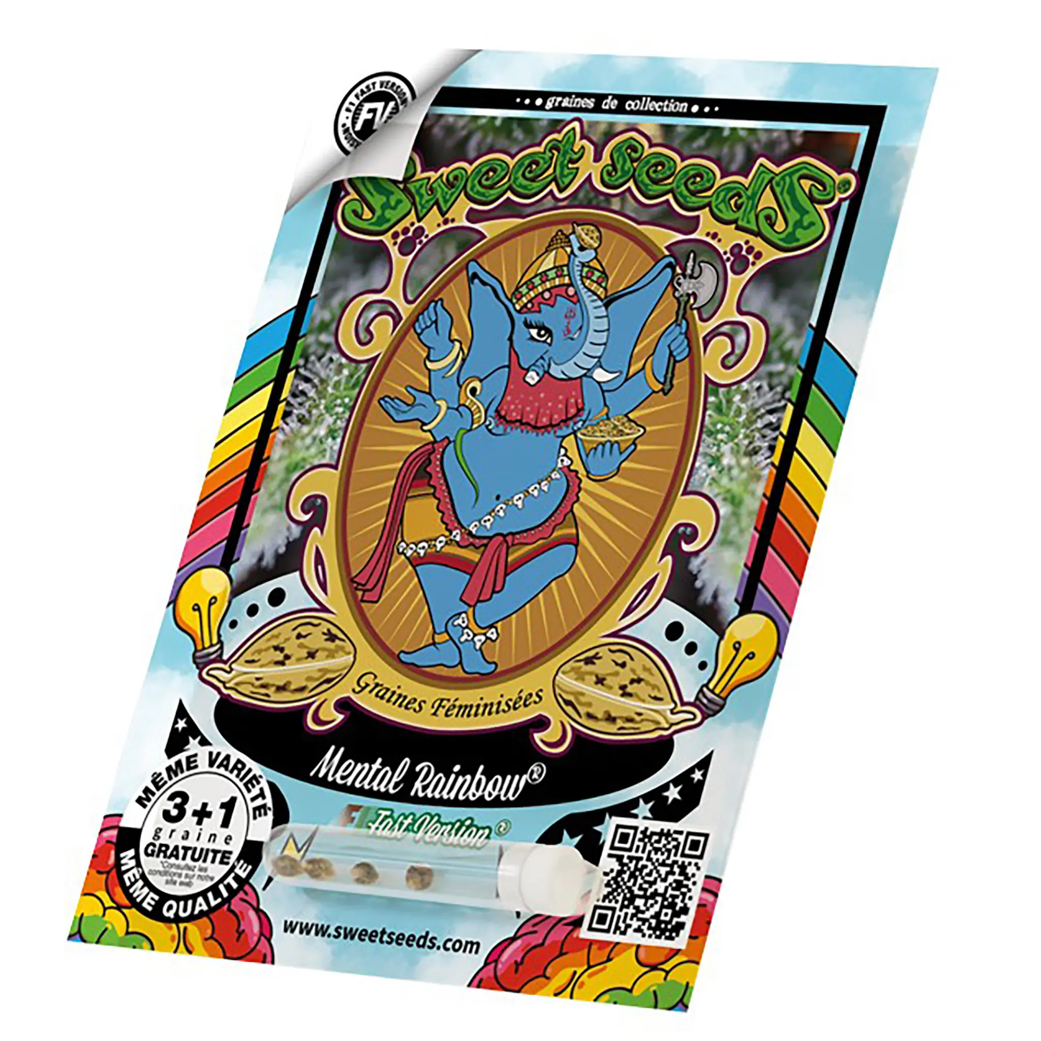 Mental Rainbow F1-3 Stück-