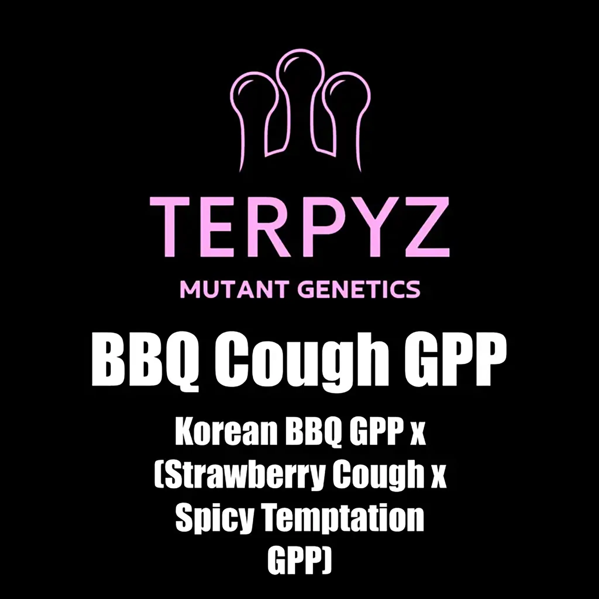 BBQ Cough GPP Regular-5 Stück