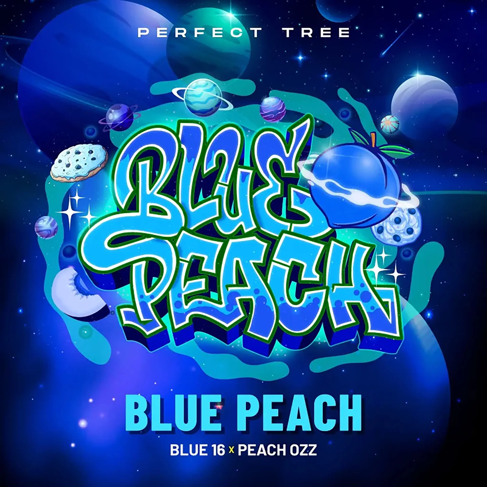 Blue Peach-6 Stück-